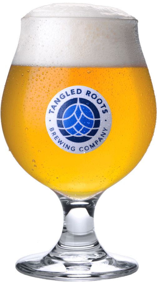 light colored draft beer in tangled roots branded glass