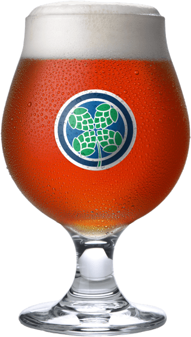 snifter beer glass with hops forming four leaf clover
