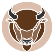 medallion of bison illustration